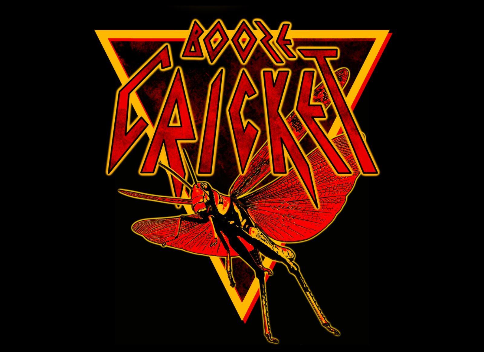 Logo Booze Cricket 